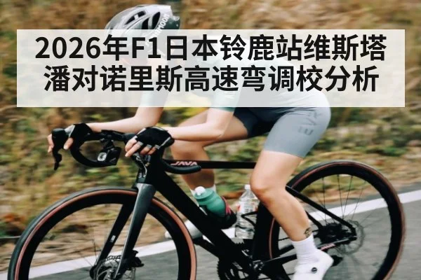 2026年F1日本铃鹿站维斯塔潘对诺里斯高速弯调校分析